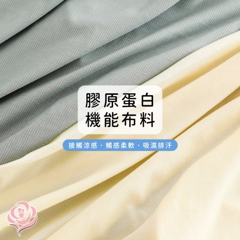 台灣製輕柔膠原蛋白 超彈力內褲/竹炭褲底 加大尺碼 L-4XL/涼感吸濕排汗/女內褲【 唐朵拉 】(311) 3